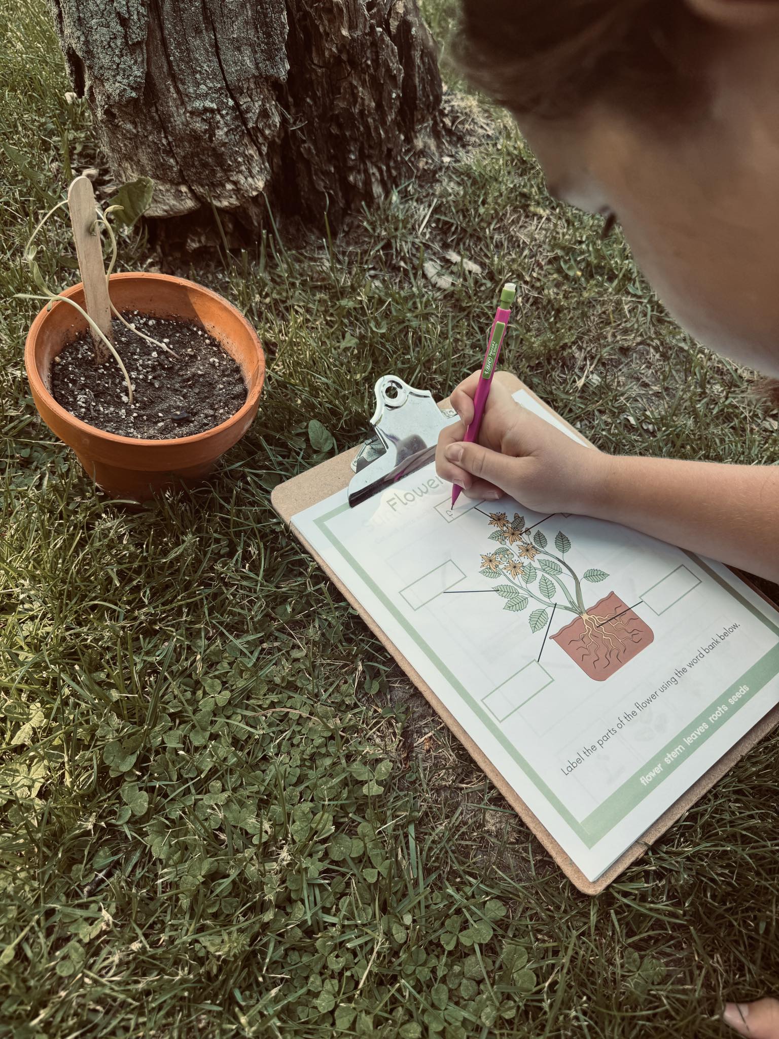 Wild + Wonder Nature Study Pack - Image 5
