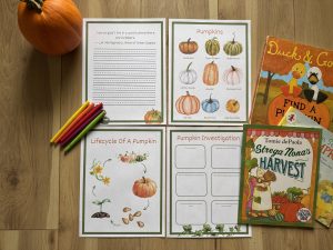 Pumpkin Study Mini Bundle